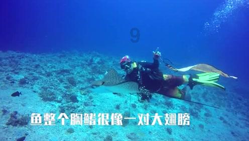 有高血压的人吃什么好？游戏画面